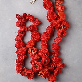 Dolmalık Acı Biber 1 Dizim