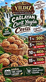 Cerit Yayla Cevizi