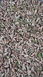 Boz Fıstık İçi Tane 250 GR