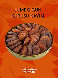 Gün Kurusu Kayısı Jumbo 500 GR