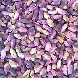 Ağaçaltı Antep Fıstığı 500 GR